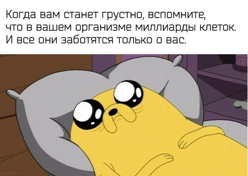 Картинки, гифки для поднятия настроения