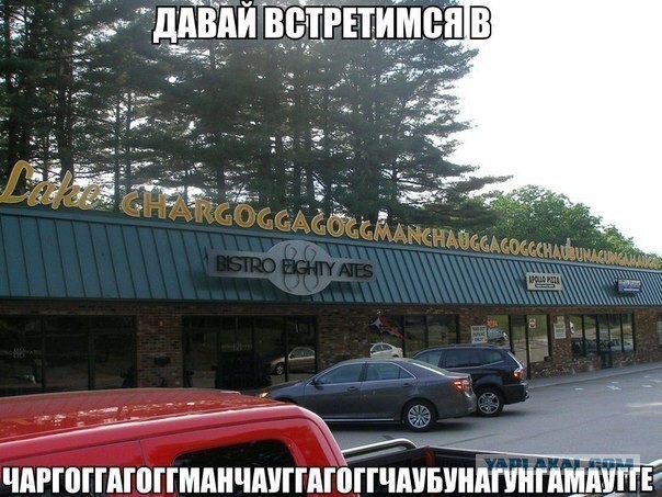 Забавные картинки из Сети