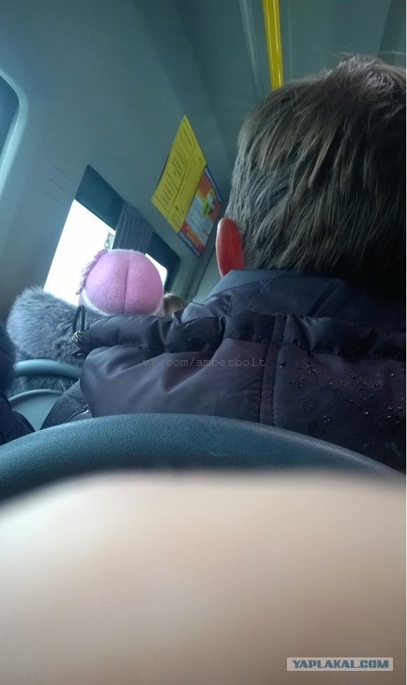 Картинки разные