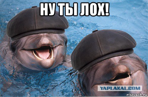 Кто дырявый, бл....?!