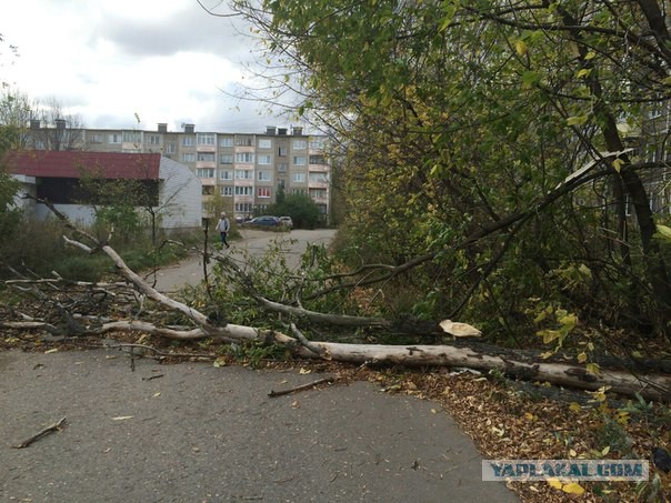 Последствия сильного ветра 3.10.2015