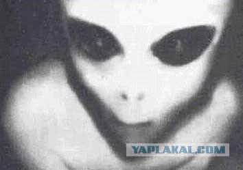 Европа теряет девочек и мальчиков
