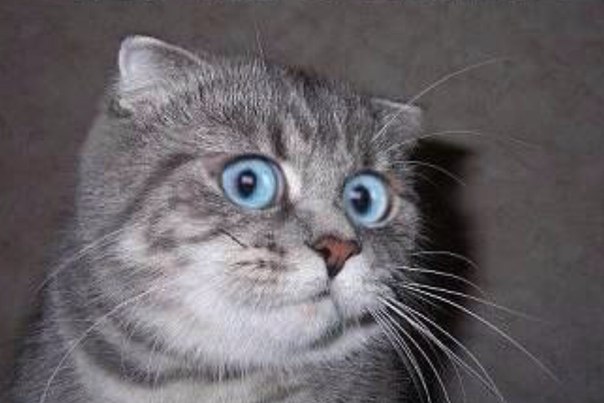 А так можно было ?