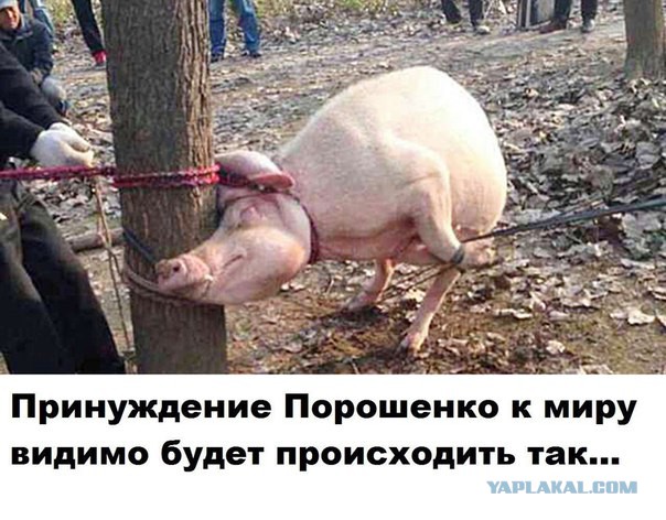 Порошенко"сорвал ордена"с вооруженных формирований