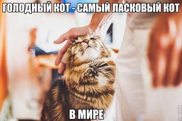 Картинки  из сети