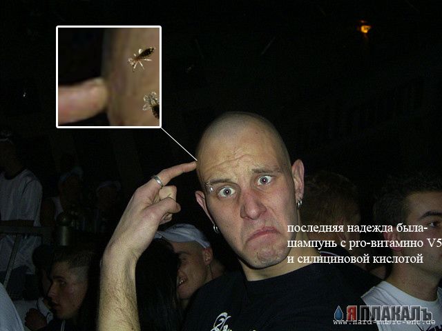 Фотожаба: Удивлению нет границ