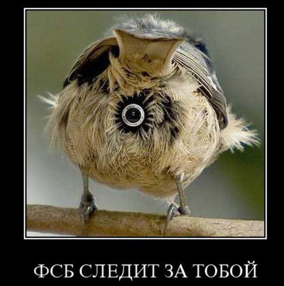 Видеообращение из Крыма