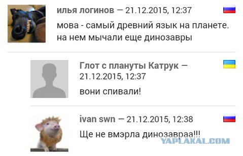 Смешные комментарии из социальных сетей