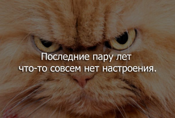 Подборка картинок