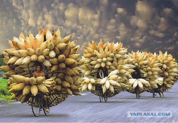 Больше, чем фото