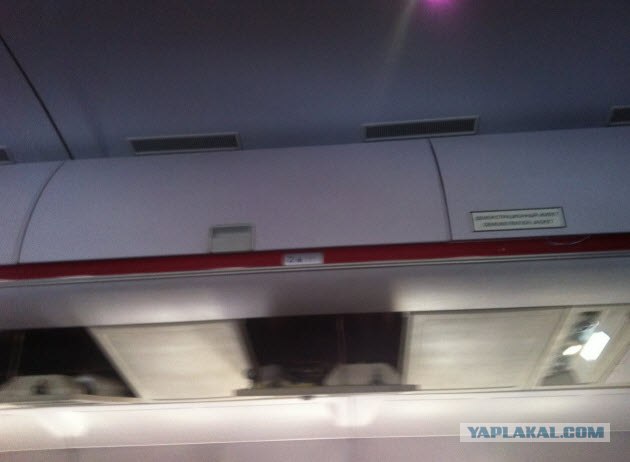 Во Внуково разбился пассажирский самолет Ту-204