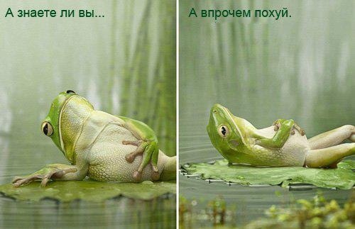 Водителя, сбившего цыганенка, избили "очевидцы""