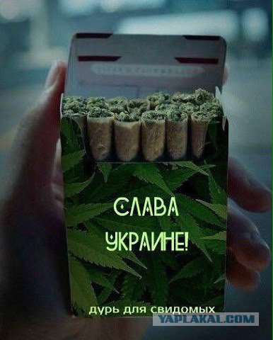 СМИ: 64% голландцев высказались против ассоциации Украины с ЕС