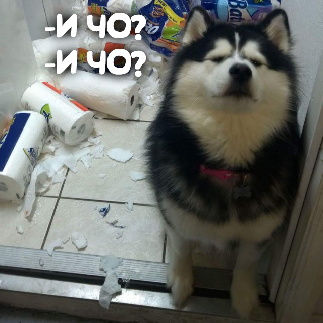 Нападение пьяной девушки на парня