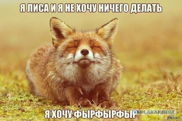 Когда мозги встают на место