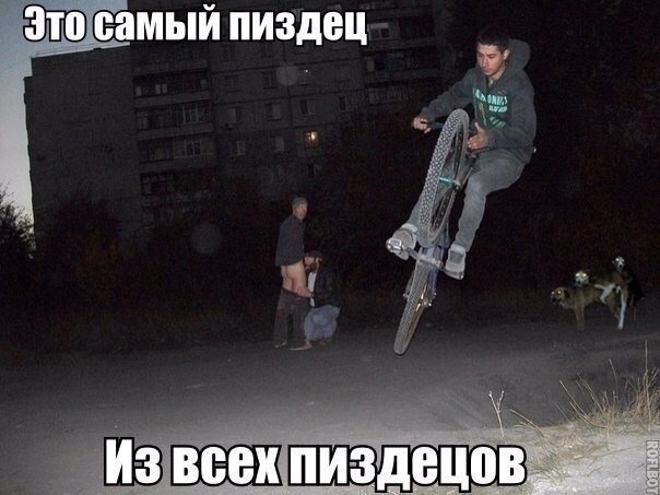 Порция картинок из сети