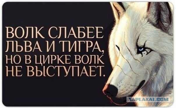 Картинки и приколы из сети