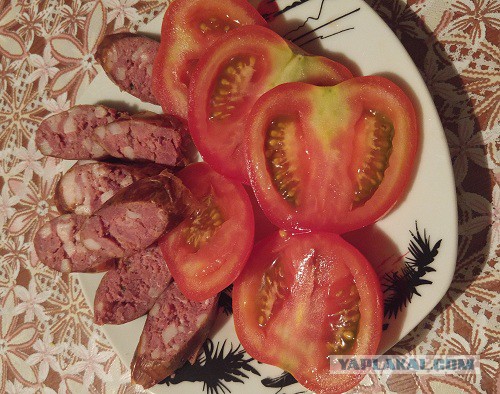 Колбасный FAQ. Делимся опытом, задаем вопросы, обсуждаем технологии.