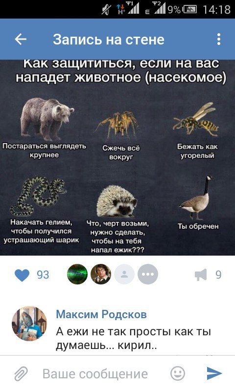 Ужасы и приколы из соцсетей 18+