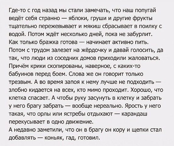 Не мешайте водку с пивом!