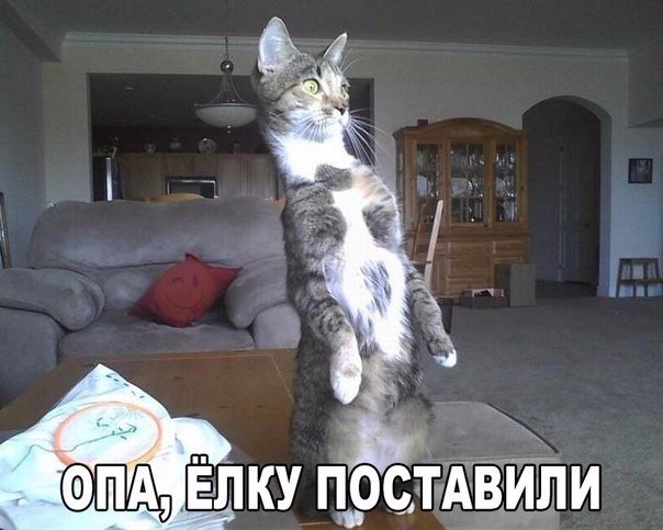 Фото всякое разное