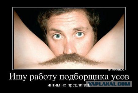 Тренажёр для дилетантов в кунилингусе