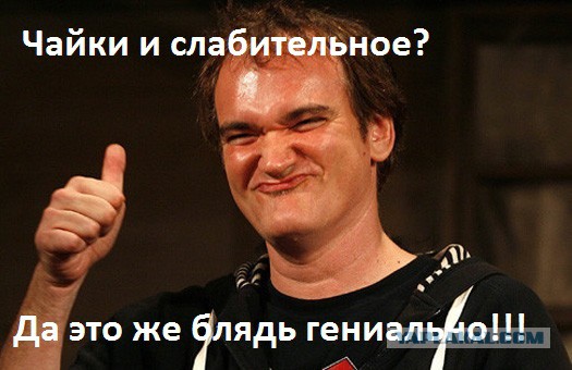 Накормили чаек слабительным