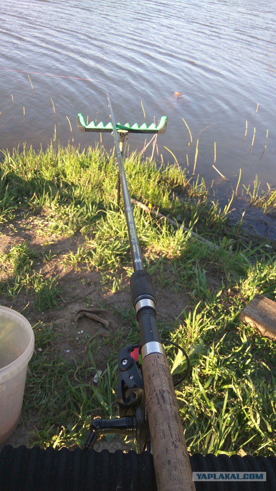 "Красавцы сазаны" или Рыбалка после работы на Флэт-метод фидер на озере
