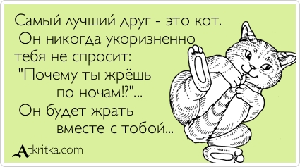 Почему мы любим кошек?