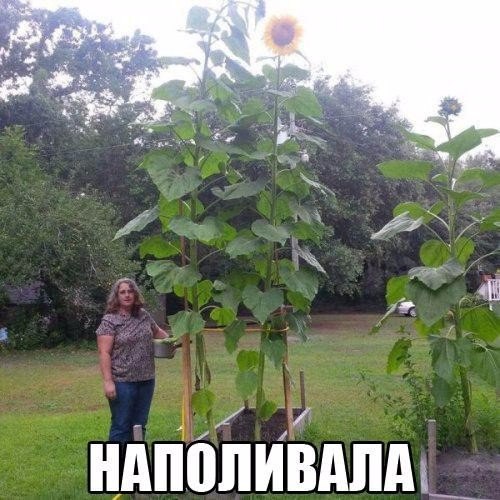 Смешные картинки