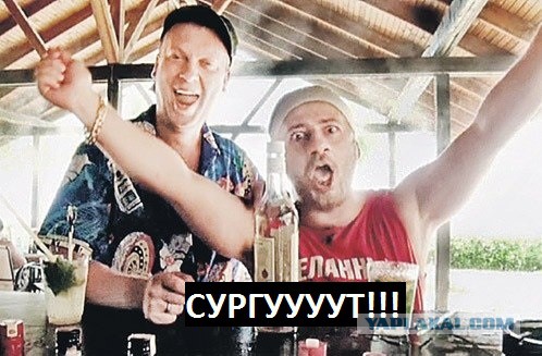 Туристы из Сургута пытались вынести из отеля в Турции цветы с корнями, "Бейлиз" и 14 рулонов туалетной бумаги