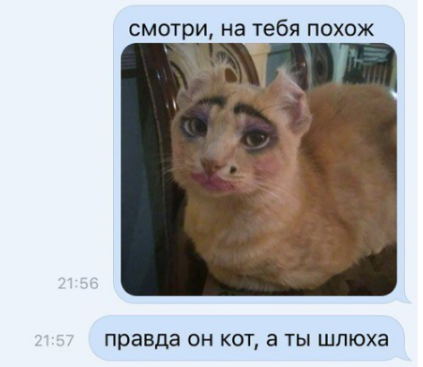Смешные комментарии из социальных сетей 07.07.2017
