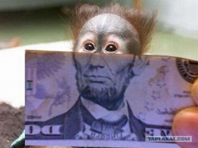 Киевские власти сообщили о намерении ликвидировать концерн «Антонов»