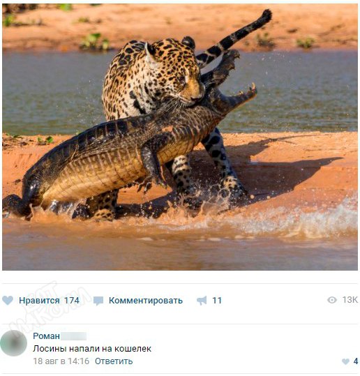 Весёлые картинки