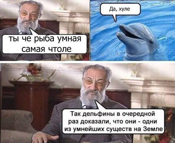 Небольшая подборка бредовых и не очень картинок