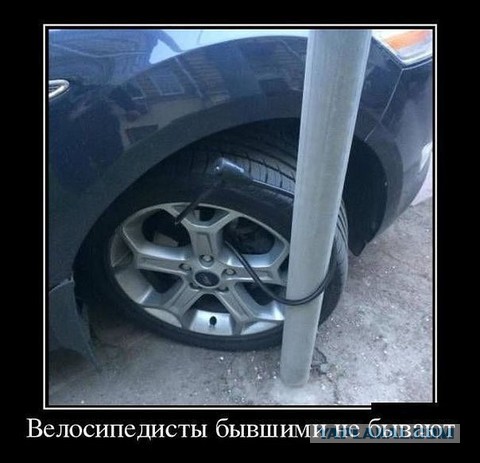 Подборка интересных и веселых картинок