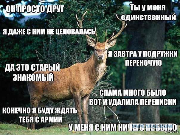 Опыт знакомства в соцсетях