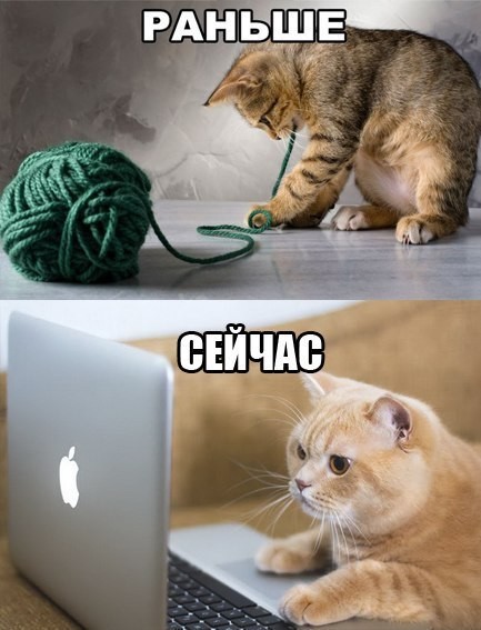 Подборка забавных картинок