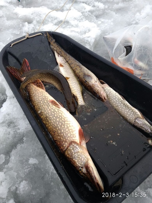 Итоги проверки пользователей