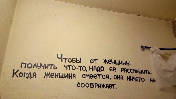 Фотоподборка из серии "Говорит стена"