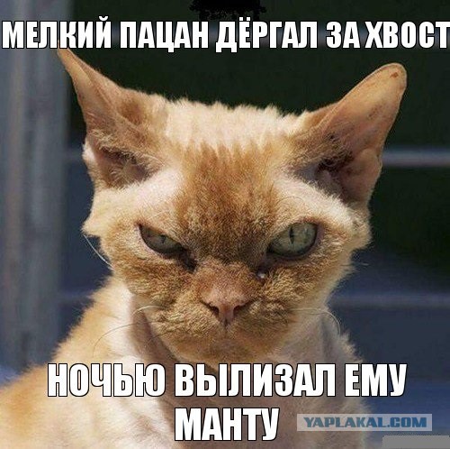 Журнал "Деградант" FALLOUT 16+