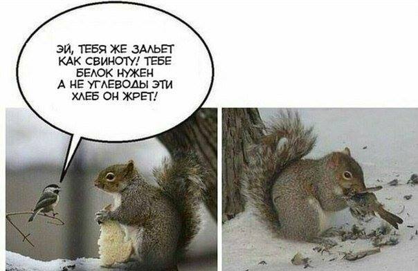 Смешные комментарии из социальных сетей 25.01.2019