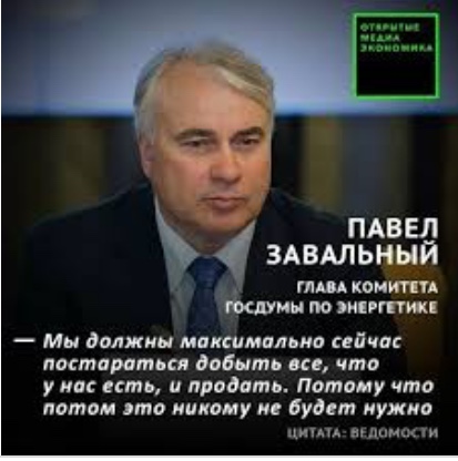 Главный ревизор Красноярского края заявила о масштабном воровстве леса и бездействии власти