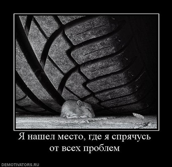 Немного картинок с надписями и без 06.12.2019
