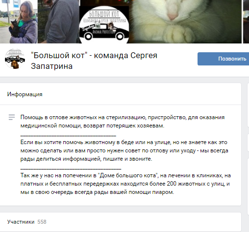 Помогите вернуть кота! Приют "Преданное сердце" украл кота и не отдает!-2
