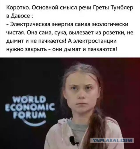 Грета Тунберг призывает россиян к забастовкам