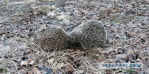 Женские манипуляции, которые нужно сразу же пресекать