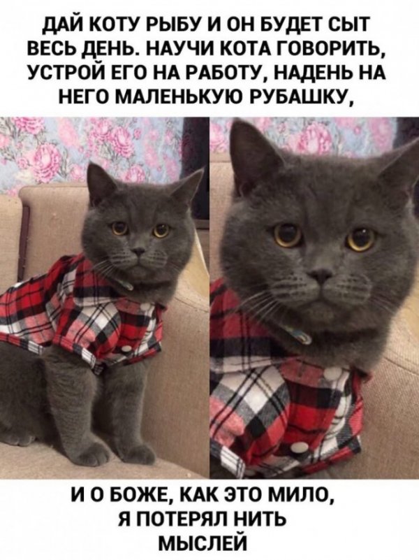 Юмор на любителя