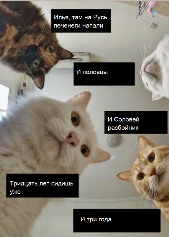 «Наташ, ты спишь?» Мемы с котами стали хроникой смутных времен