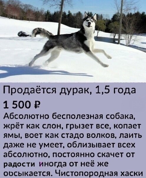 Кучка картинок №8
